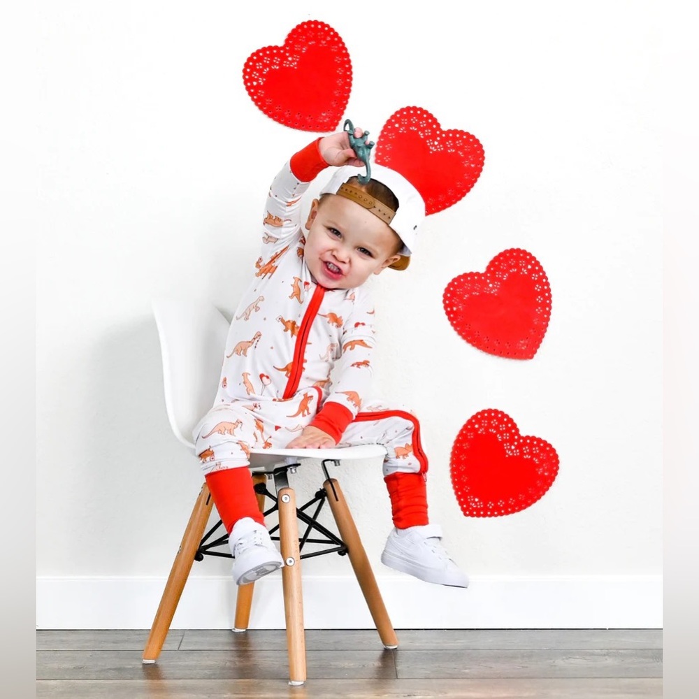 NWT Dream Big Bamboo Zippy